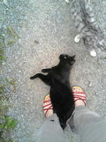 blog2009_5-24_1.jpg