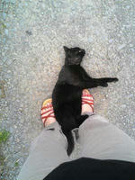 blog2009_5-24_2.jpg