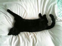 blog2009_5-27_2.jpg