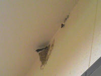 blog2009_6-19_1.jpg