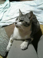 blog2009_6-22_1.jpg