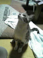 blog2009_6-22_2.jpg