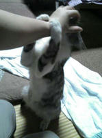 blog2009_6-22_3.jpg
