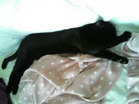 blog2009_6-23_1.jpg