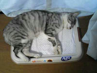 blog2009_6-23_3.jpg