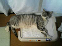 blog2009_6-23_4.jpg