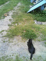 blog2009_6-25_1.jpg