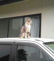 blog2009_6-25_3.jpg