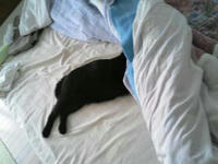 blog2009_6-30_1.jpg