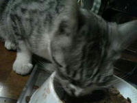 blog2009_6-30_4.jpg