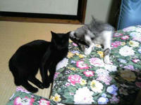 blog2009_6-30_5.jpg