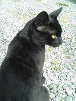 blog2009_7-8_2.jpg