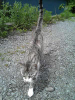 blog2009_7-8_4.jpg