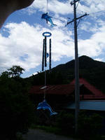 blog2009_7-13_2.jpg