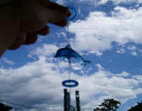 blog2009_7-13_3.jpg