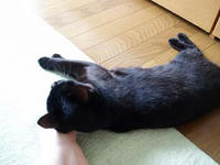 blog2009_7-13_4.jpg