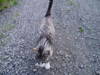 blog2009_7-13_5.jpg