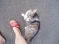 blog2009_7-13_6.jpg