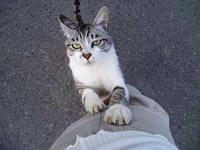 blog2009_7-13_7.jpg