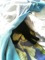 blog2009_7-10_1.jpg