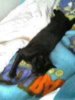 blog2009_7-10_2.jpg