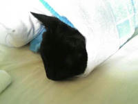 blog2009_7-10_3.jpg