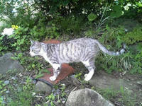 blog2009_7-10_4.jpg