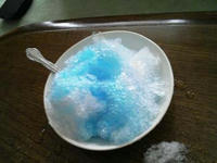 blog2009_7-23_1.jpg