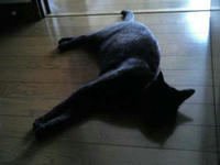 blog2009_7-23_2.jpg