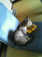 blog2009_7-23_3.jpg