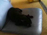 blog2009_7-23_6.jpg