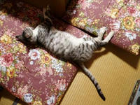 blog2009_7-26_1.jpg