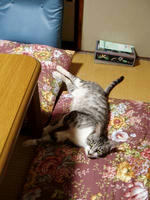 blog2009_7-26_2.jpg