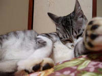blog2009_7-26_3.jpg