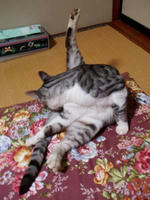 blog2009_7-26_4.jpg