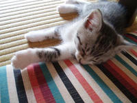 blog2009_7-26_5.jpg