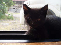 blog2009_7-26_6.jpg