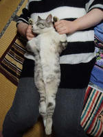 blog2009_7-26_7.jpg