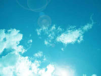 blog2009_7-26_9.jpg