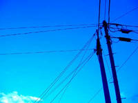 blog2009_7-26_10.jpg