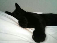 blog2009_7-27_1.jpg