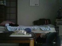 blog2009_7-27_2.jpg
