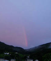 blog2009_8-7_1.jpg