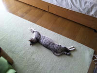 blog2009_8-10_1.jpg