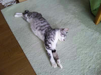 blog2009_8-10_2.jpg
