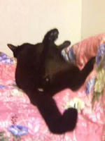 blog2009_8-10_3.jpg