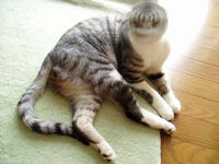 blog2009_8-19_1.jpg