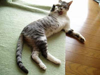 blog2009_8-19_2.jpg
