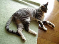 blog2009_8-19_3.jpg