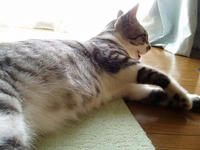 blog2009_8-19_4.jpg